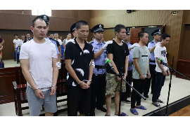 市中贷款清欠服务